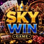SKYWIN Game