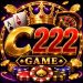 C 222 Game