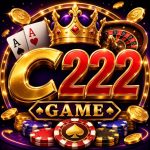 C222 Game