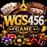WGS456 Game