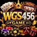 WGS456 Game