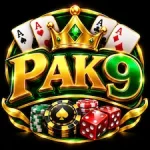PAK9 Game