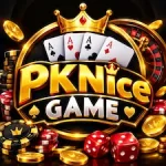 PKNICE Game